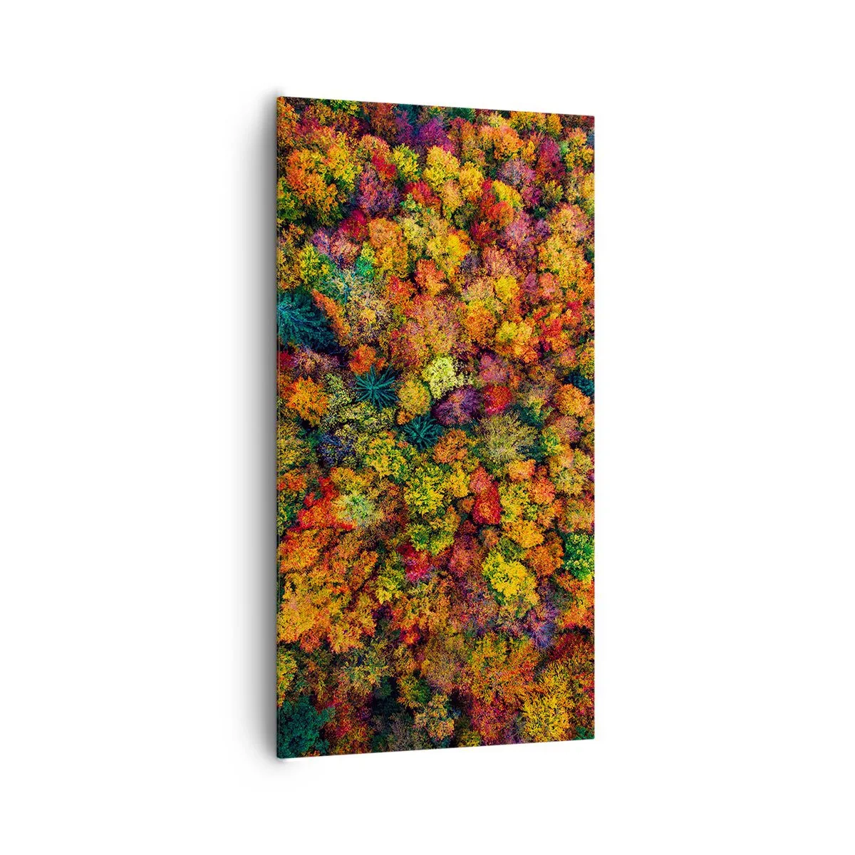 Cuadro sobre lienzo - Impresión de Imagen - Un ramo de árboles otoñales - 65x120 cm