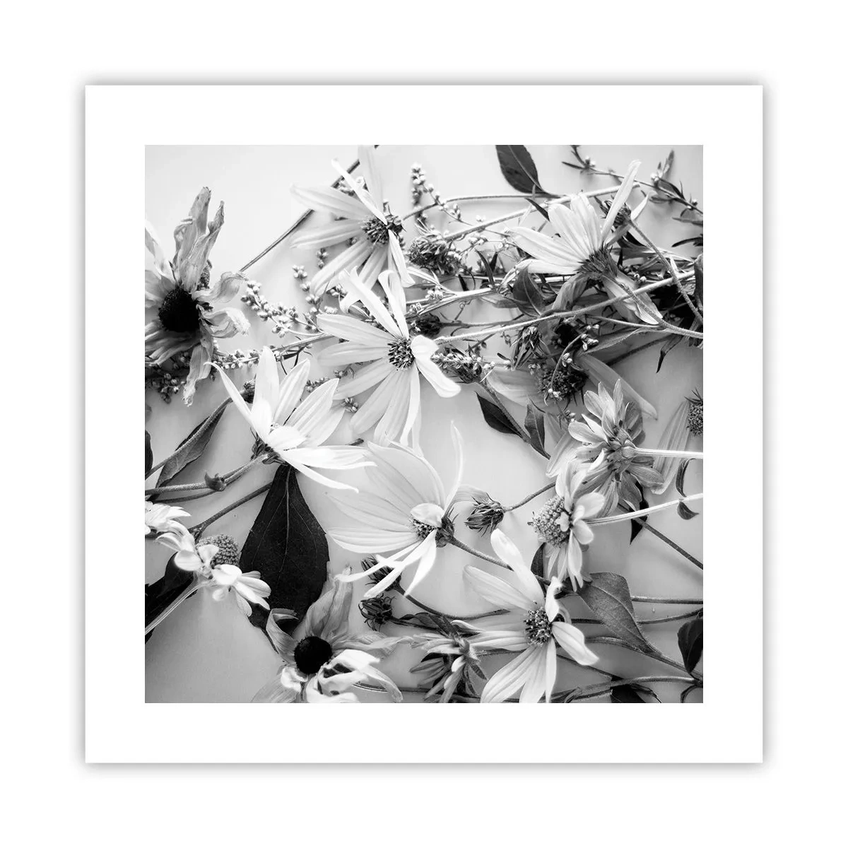 Póster - Un no ramo de flores - 40x40 cm
