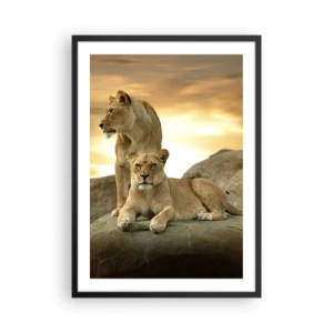 Póster en marco negro - Dos leonas contra el sol poniente - 50x70cm - Majestuosidad real - Decoración de pared moderna para salón y dormitorio ARTTOR