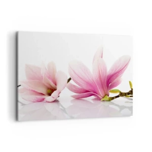 Cuadro sobre lienzo - Impresión de Imagen - Delicadas magnolias rosas sobre un fondo blanco. - 100x70cm - Suave como un soplo de primavera - Decoración de pared moderna para salón y dormitorio ARTTOR