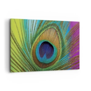 Cuadro sobre lienzo - Impresión de Imagen - Primer plano de una pluma de pavo real con colores vivos. - 120x80cm - Cara a cara - Decoración de pared moderna para salón y dormitorio ARTTOR