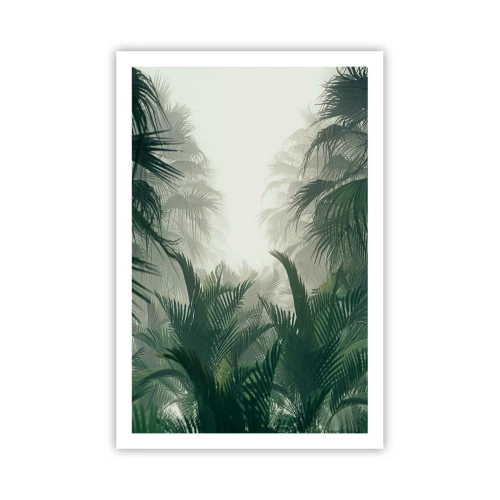 Póster - Misterio tropical - 61x91 cm