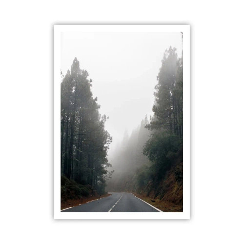 Póster - La historia de un bosque mágico - 70x100 cm