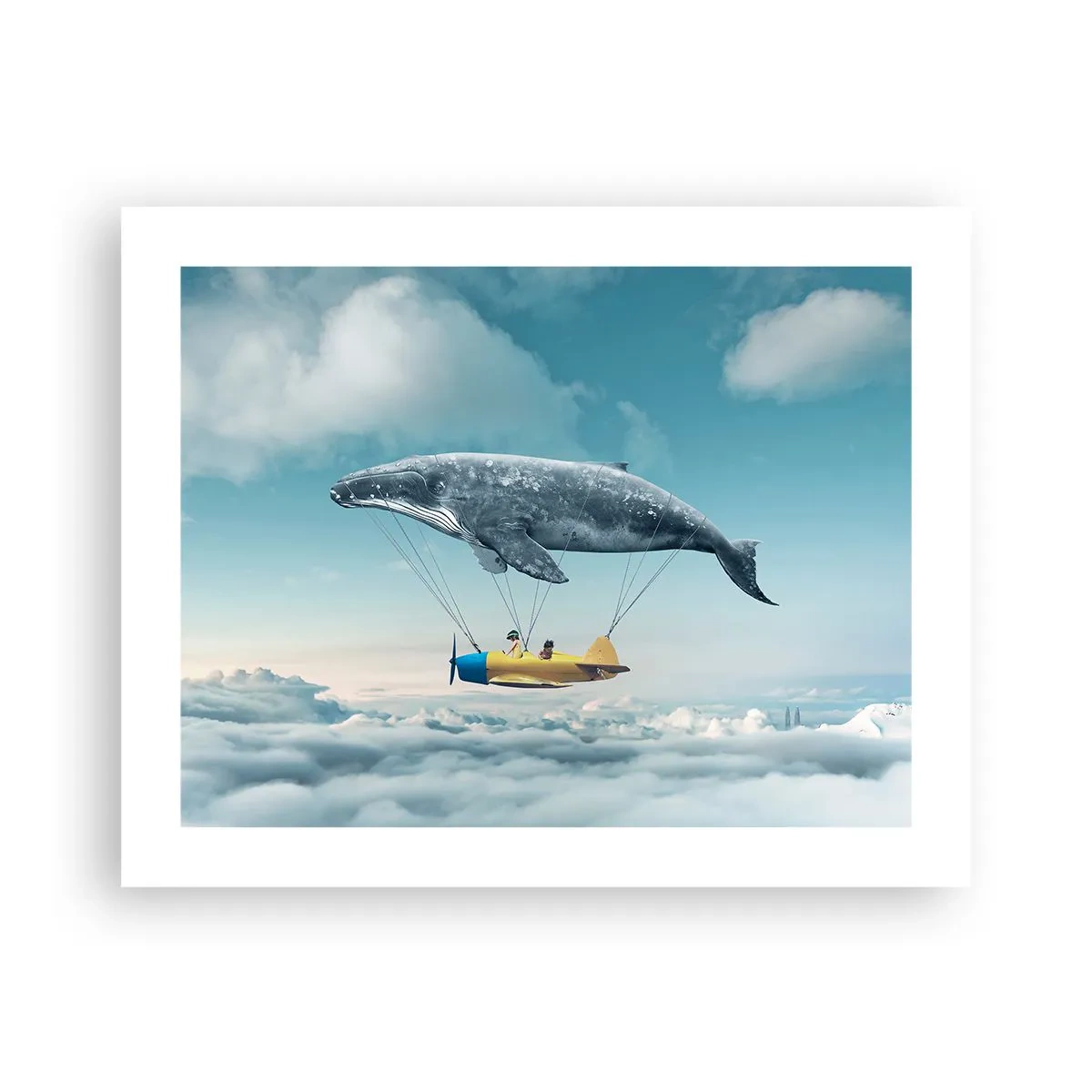 Póster - ¿Por qué no? - 50x40 cm