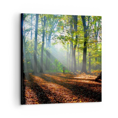 Cuadro sobre lienzo - Impresión de Imagen - Resplandores y sombras - 60x60 cm