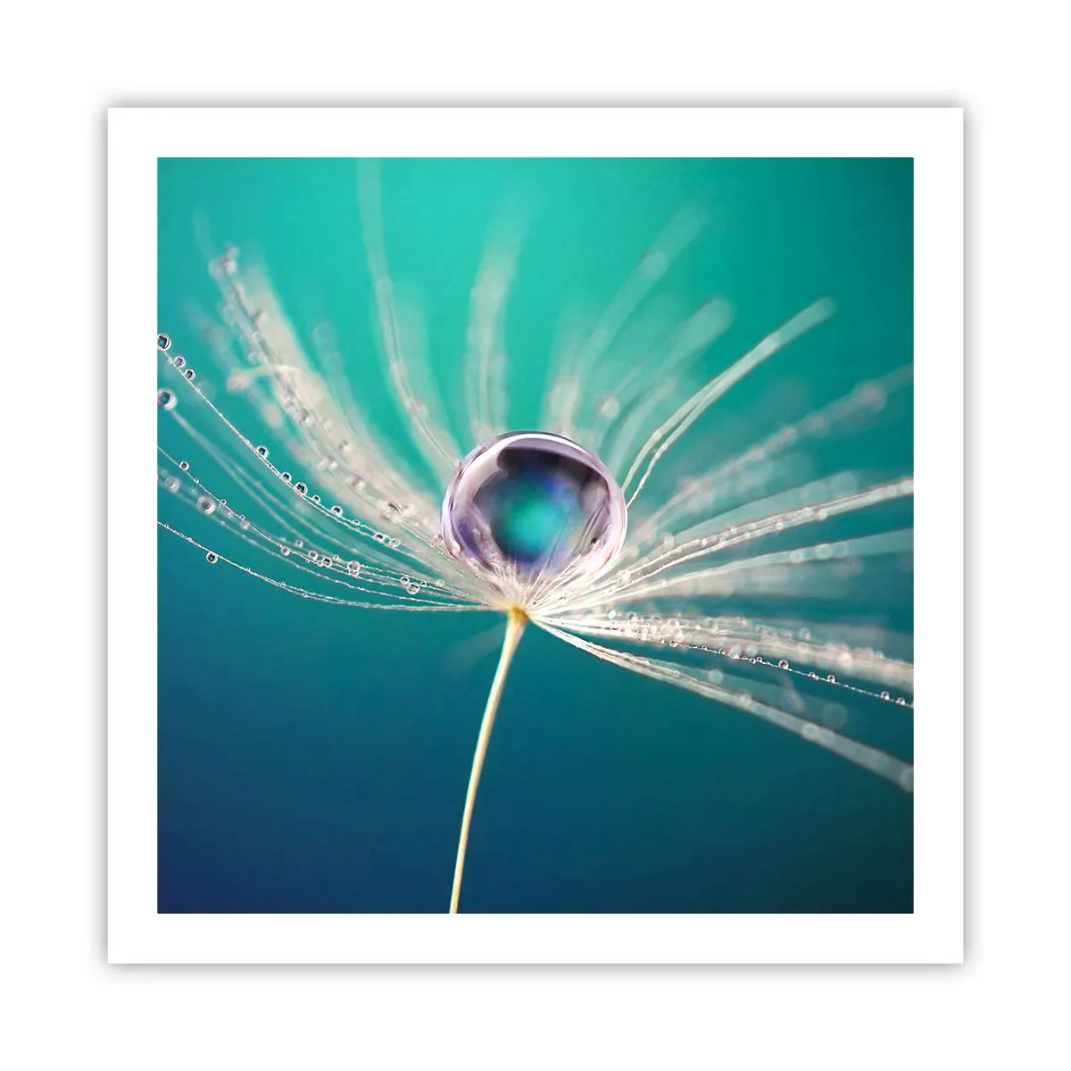 Póster - Momento místico - 60x60 cm
