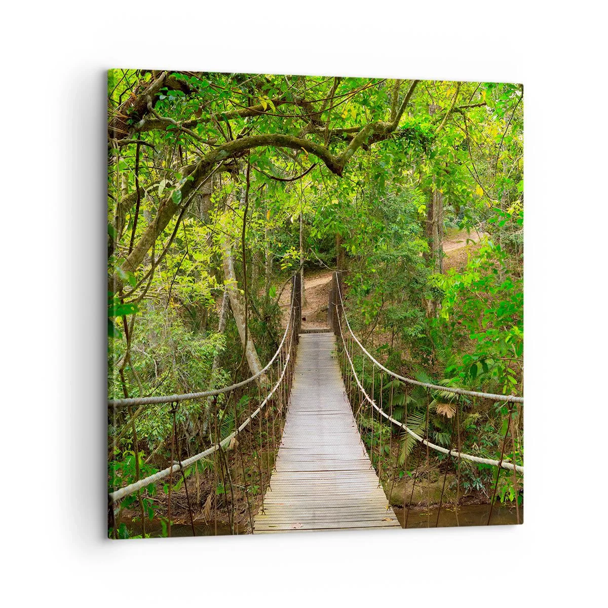 Cuadro sobre lienzo - Impresión de Imagen - Porque la vid crece en el jardín - 60x60 cm