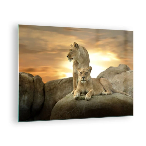 Cuadro sobre vidrio - Impresiones sobre Vidrio - Majestad Real - 70x50cm - Majestuosidad real - Decoración de pared moderna para salón y dormitorio ARTTOR