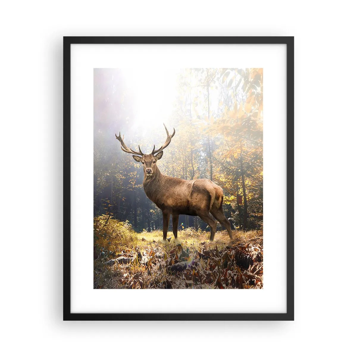 Póster en marco negro - Con toda la majestuosidad - 40x50 cm