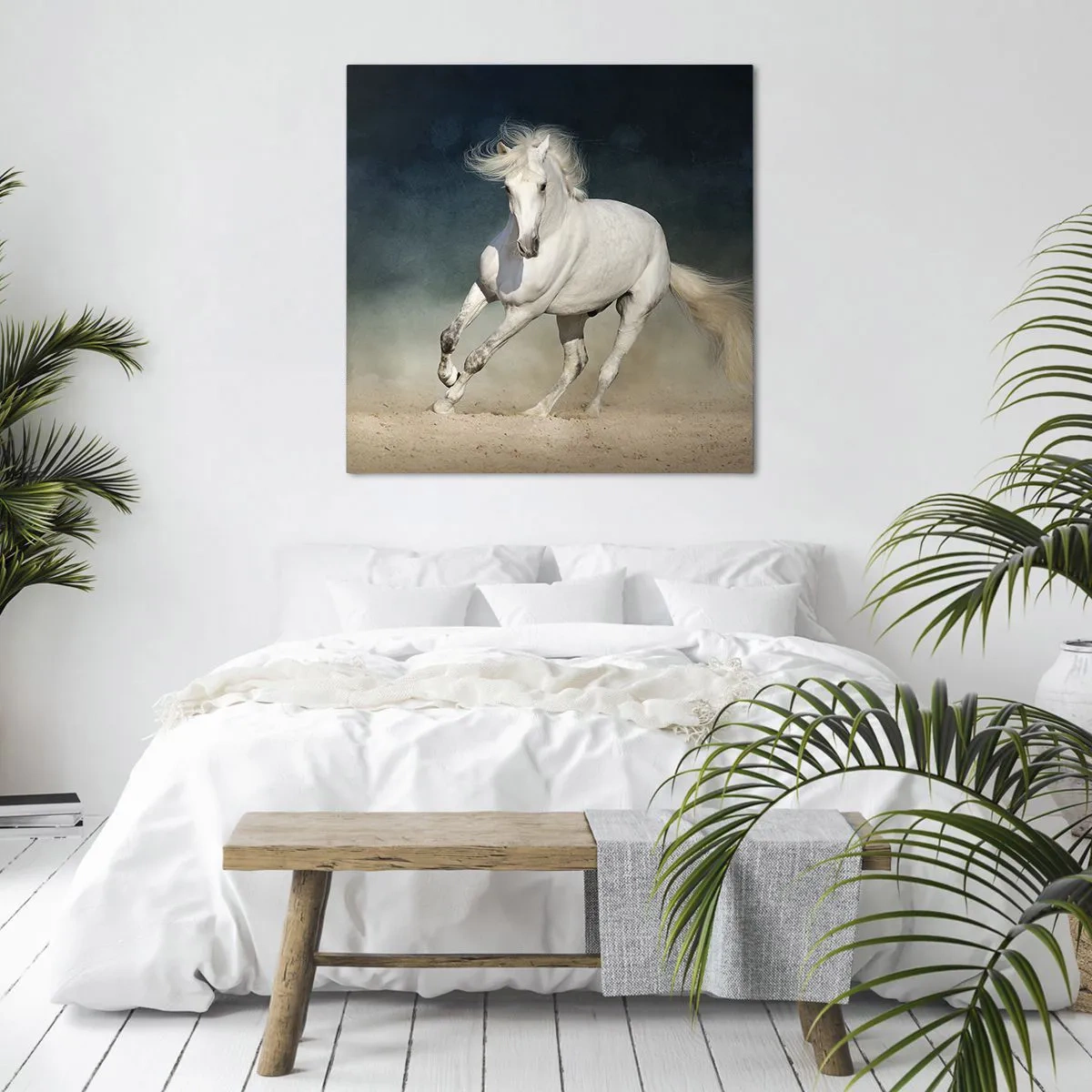 Cuadro sobre lienzo - Impresión de Imagen - Libertad en estado puro - 70x70 cm