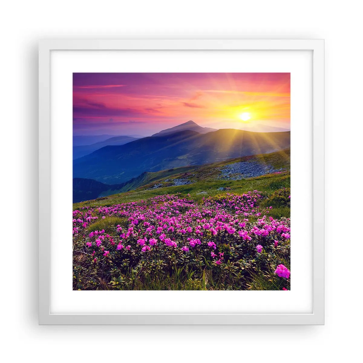 Póster en marco blanco - ... Y el aroma a hierbas está por todas partes - 40x40 cm