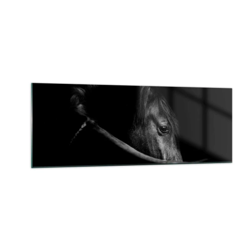 Cuadro sobre vidrio - Impresiones sobre Vidrio - Un retrato en blanco y negro de un caballo con un sutil juego de luces y sombras sobre un fondo oscuro. - 140x50cm - Príncipe negro - Decoración de pared moderna para salón y dormitorio ARTTOR