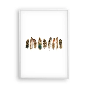 Póster en marco blanco - Estudio de plumas - 70x100 cm