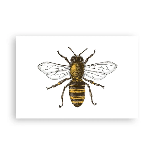 Póster - Bondad natural - 91x61 cm