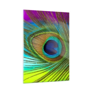 Cuadro sobre vidrio - Impresiones sobre Vidrio - Un primer plano de una colorida pluma de pavo real. - 50x70cm - Cara a cara - Decoración de pared moderna para salón y dormitorio ARTTOR