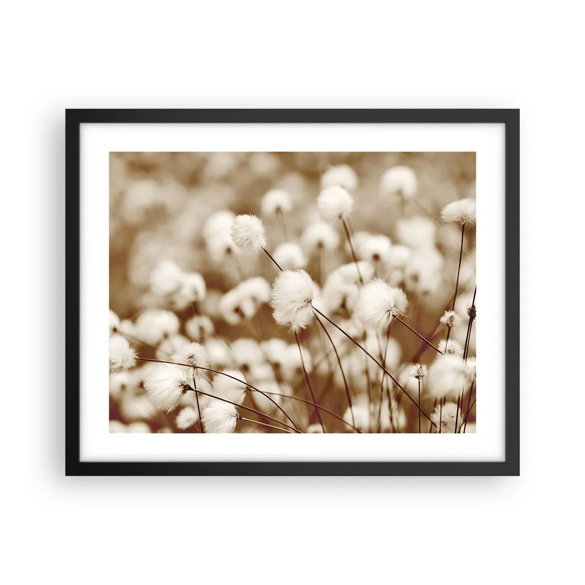 Póster en marco negro - Un mullido colchón - 50x40 cm