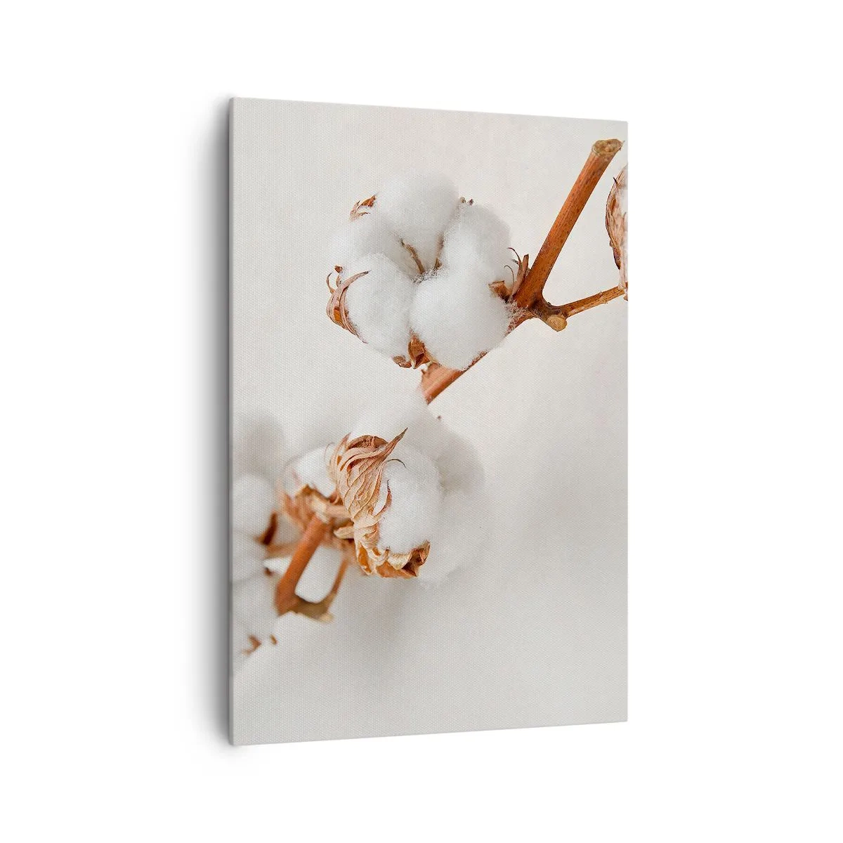 Cuadro sobre lienzo - Impresión de Imagen - Una ramita de algodón sobre un fondo sutil. - 70x100cm - Un suave tacto - Decoración de pared moderna para salón y dormitorio ARTTOR