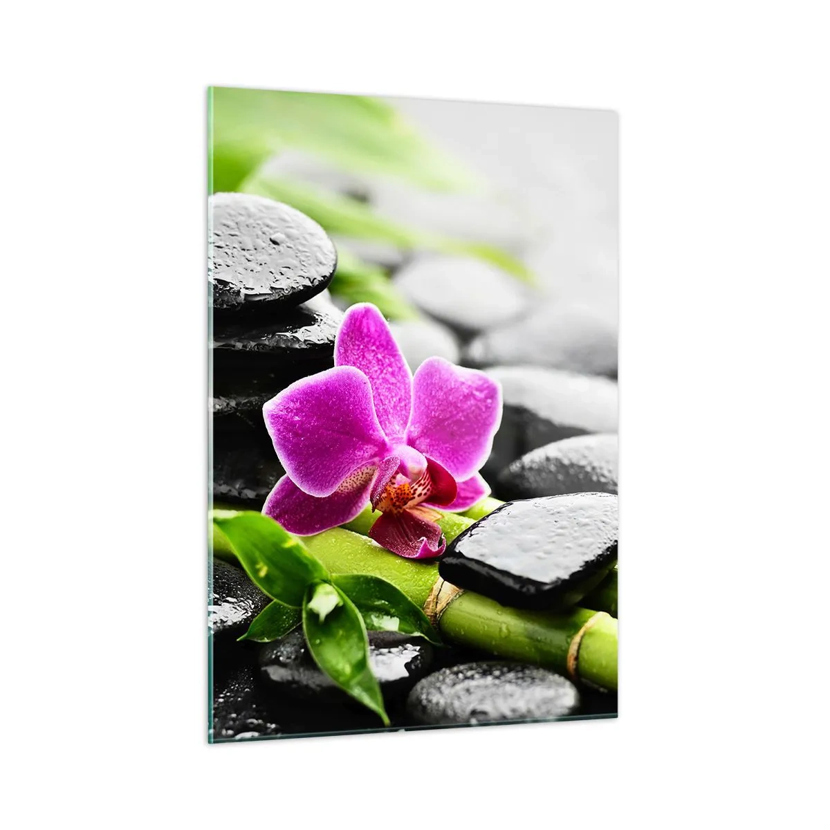 Cuadro sobre vidrio - Impresiones sobre Vidrio - Orquídea, piedras negras y bambú en un arreglo tranquilo. - 50x70cm - En equilibrio pacífico - Decoración de pared moderna para salón y dormitorio ARTTOR