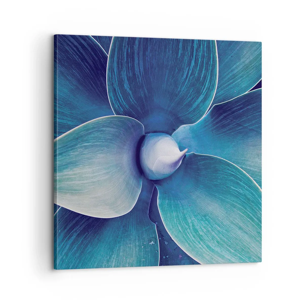 Cuadro sobre lienzo - Impresión de Imagen - Azul del cielo - 60x60 cm