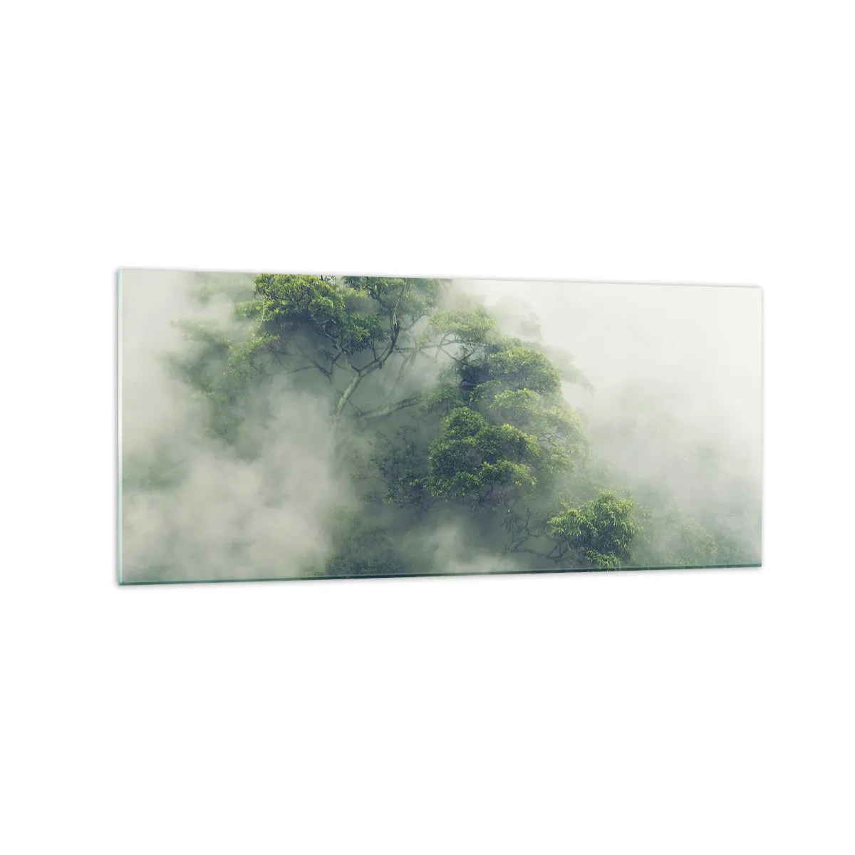 Cuadro sobre vidrio - Impresiones sobre Vidrio - Árboles verdes en una espesa niebla contra un fondo natural - 120x50cm - Envuelto en niebla - Decoración de pared moderna para salón y dormitorio ARTTOR