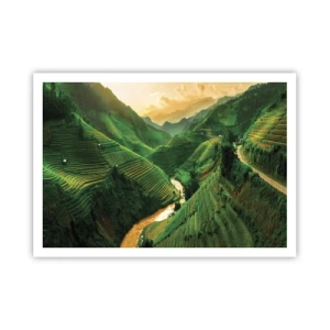 Póster - Pintorescas terrazas de arroz en un valle verde iluminado por el sol poniente - 100x70cm - Valle vietnamita - Decoración de pared moderna para salón y dormitorio ARTTOR