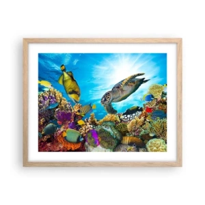 Póster en marco roble claro - Paseo del coral - 50x40 cm