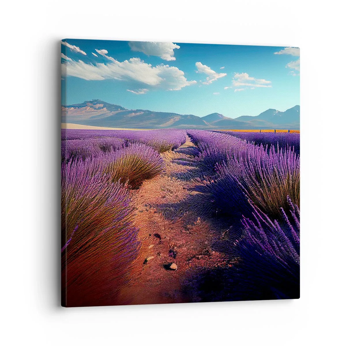 Cuadro sobre lienzo - Impresión de Imagen - Campos fragantes - 30x30 cm