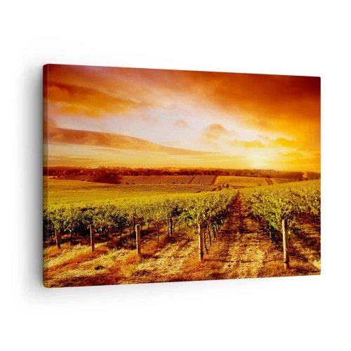 Cuadro sobre lienzo - Impresión de Imagen - Viñedo al atardecer con tonos cálidos del cielo. - 70x50cm - Delicadamente afrutado con un toque de sol - Decoración de pared moderna para salón y dormitorio ARTTOR