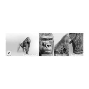 Muestra de fotomural autoadhesivo Deluxe Sticker - Confiando en su fuerza - animales, Gorila, Mono - 100x30 cm