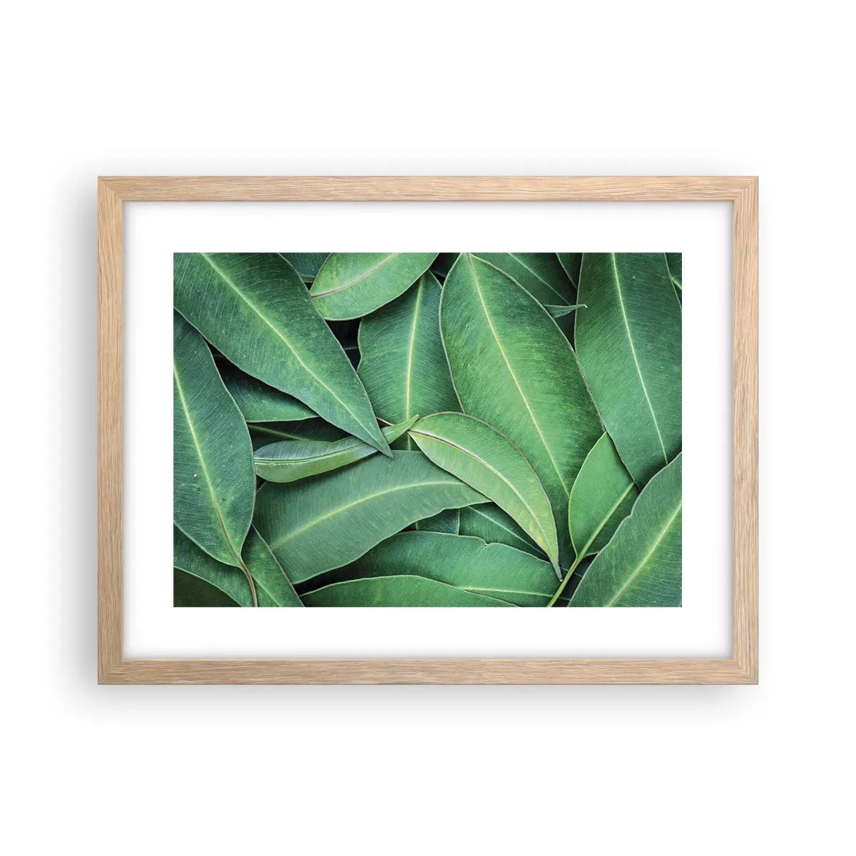 Póster en marco roble claro - Jugosidad y frescura - 40x30 cm