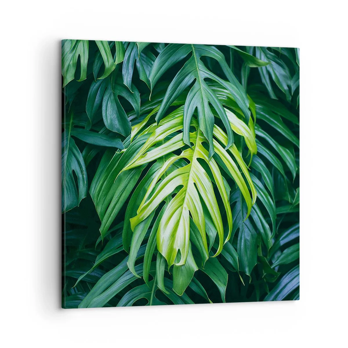 Cuadro sobre lienzo - Impresión de Imagen - Sumérjase en la frescura - 50x50 cm