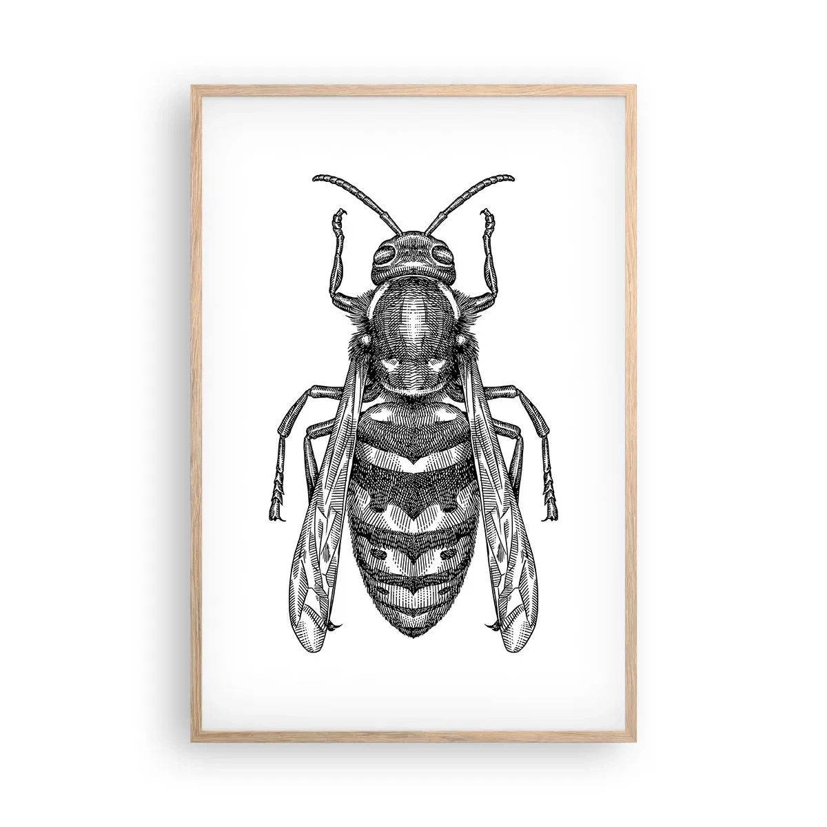 Póster en marco roble claro - Desde un planeta de insectos - 61x91 cm