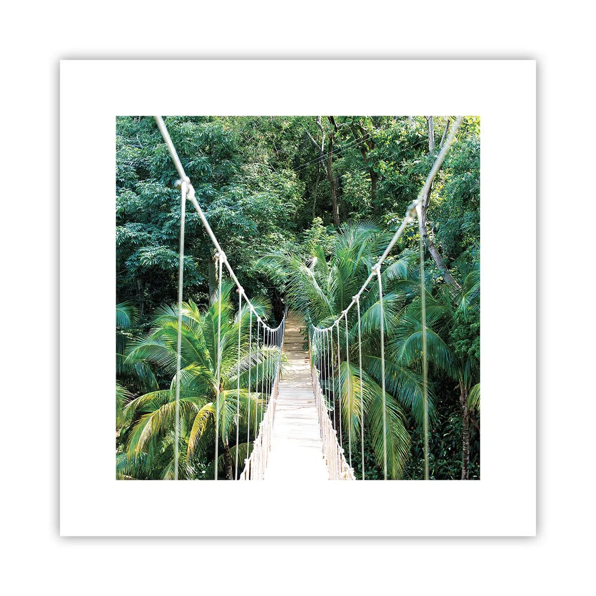 Póster - ¡Bienvenido a la selva! - 30x30 cm