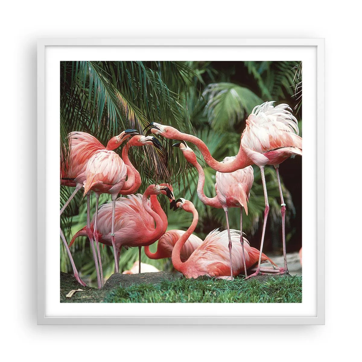 Póster en marco blanco - Cotilleos de la tarde - 60x60 cm