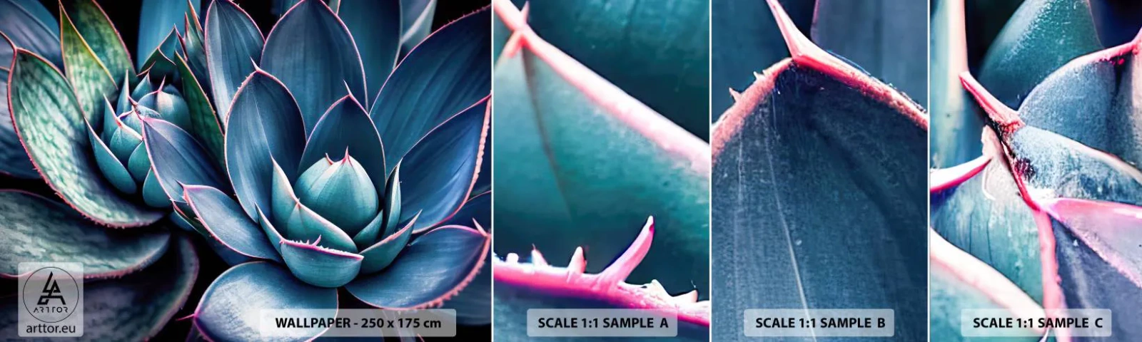 Muestra De Fotomural Standard Eco - Fuerza vital - flores, Botánica, suculentas - 100x30 cm