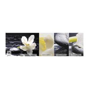 Muestra de fotomural Premium Canvas - Un estudio en blanco y negro - flores, piedras, Orquídea - 100x30 cm