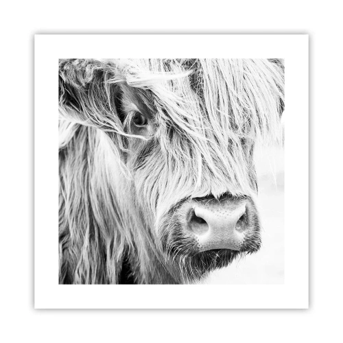 Póster - La naturaleza escocesa - 40x40 cm