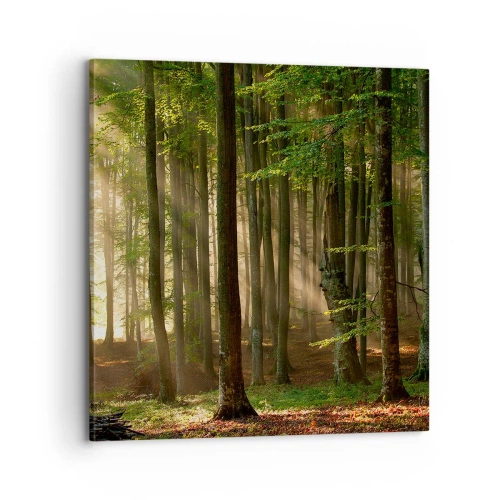 Cuadro sobre lienzo - Impresión de Imagen - Radiante en una mañana de primavera - 70x70 cm