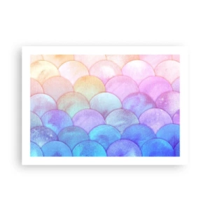 Póster - Concha de perla - 70x50 cm