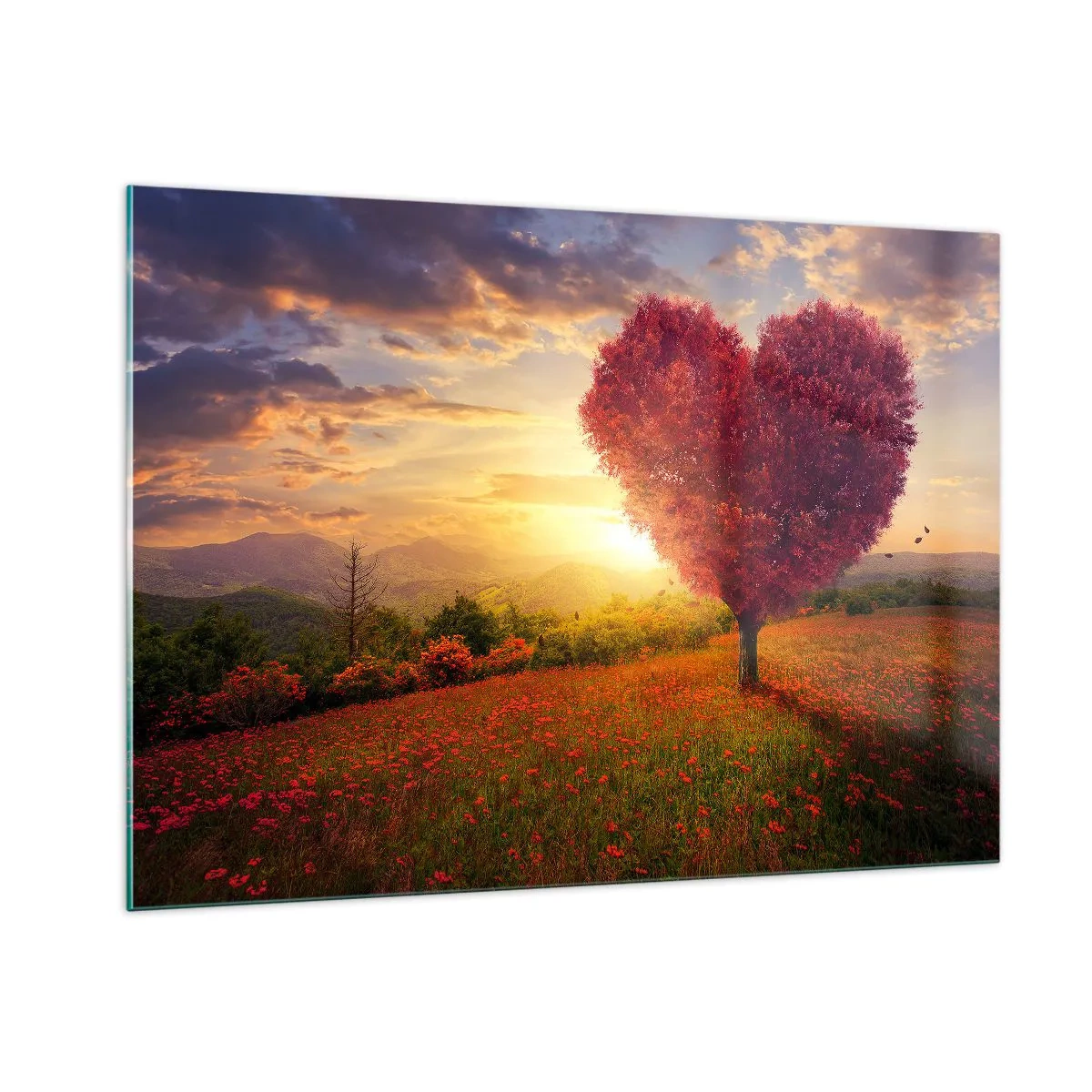 Cuadro sobre vidrio - Impresiones sobre Vidrio - Un árbol en forma de corazón en un campo al atardecer. - 100x70cm - Te atrapa el corazón - Decoración de pared moderna para salón y dormitorio ARTTOR