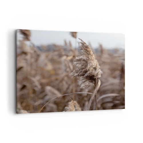 Cuadro sobre lienzo - Impresión de Imagen - Delicadas hierbas en tonos beige sobre el fondo de la naturaleza. - 100x70cm - Es hora de volar con el viento - Decoración de pared moderna para salón y dormitorio ARTTOR