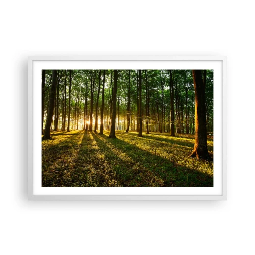 Póster en marco blanco - Una fotografía de todos los manantiales - 70x50 cm