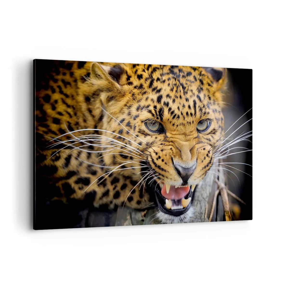 Cuadro sobre lienzo - Impresión de Imagen - Un primer plano de un leopardo amenazante con sus colmillos al descubierto. - 120x80cm - ¡Atrás, te lo advierto! - Decoración de pared moderna para salón y dormitorio ARTTOR