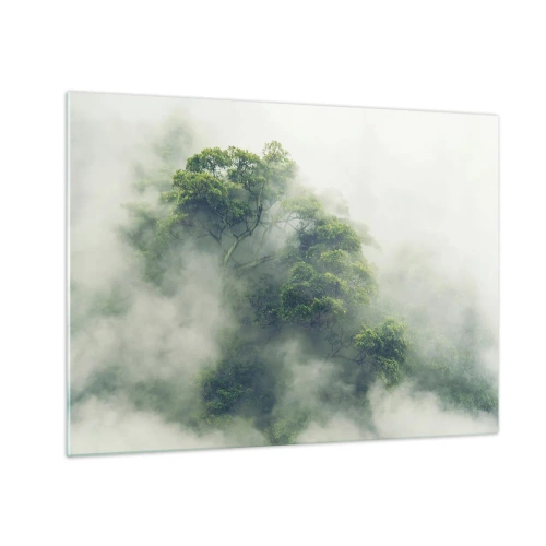 Cuadro sobre vidrio - Impresiones sobre Vidrio - Árboles del bosque tropical que emergen de la espesa niebla - 70x50cm - Envuelto en niebla - Decoración de pared moderna para salón y dormitorio ARTTOR