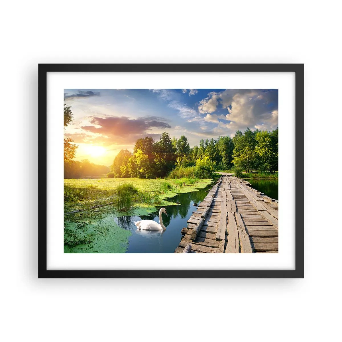 Póster en marco negro - Verano, verano en todas partes - 50x40 cm