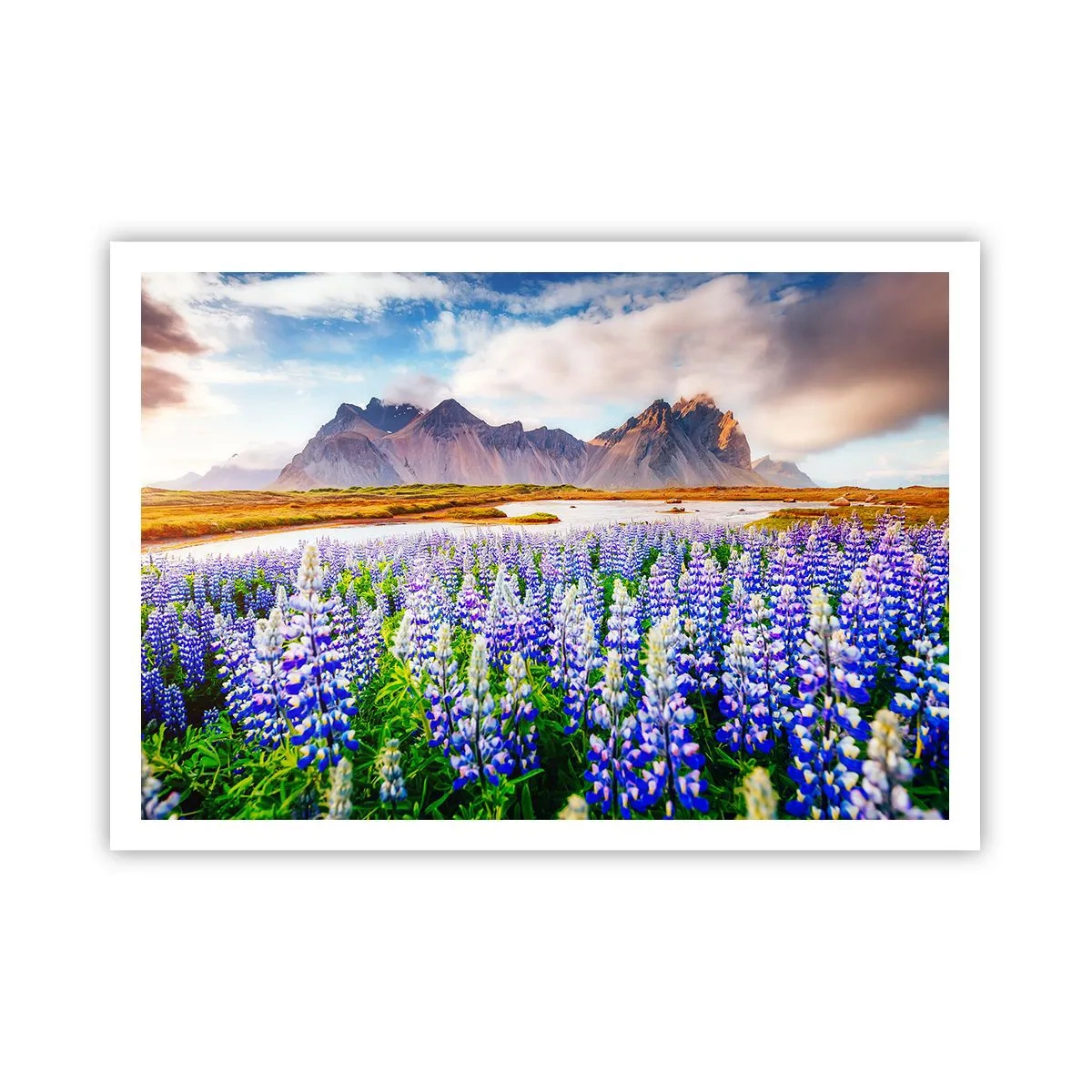 Póster - Flores en un paisaje de montaña con un cielo pintoresco. - 100x70cm - La fuerza y la severidad junto a la dulzura - Decoración de pared moderna para salón y dormitorio ARTTOR