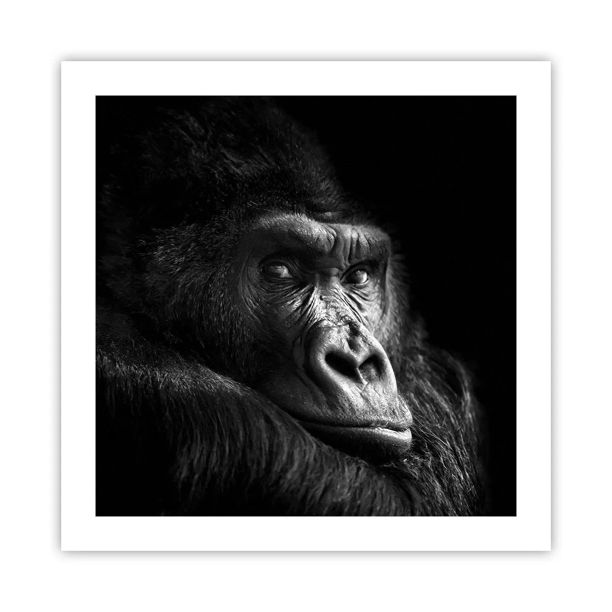 Póster - ¿Y qué estás mirando? - 50x50 cm