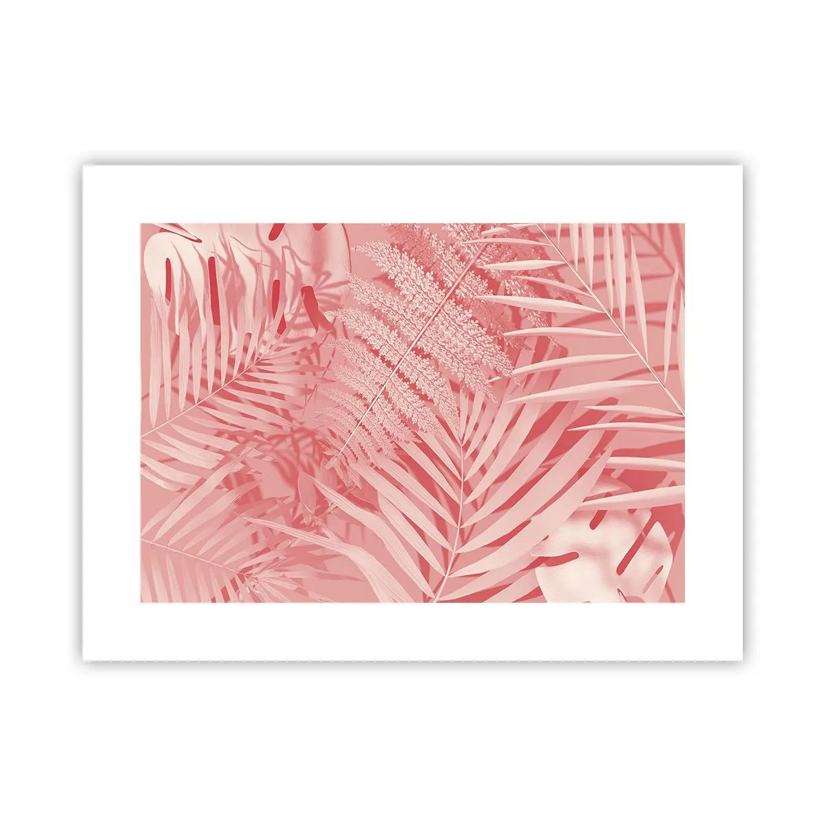 Póster - Concepto rosa - 40x30 cm