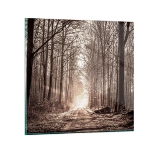 Cuadro sobre vidrio - Impresiones sobre Vidrio - La catedral del bosque - 50x50 cm