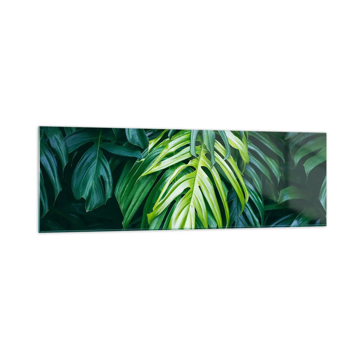 Cuadro sobre vidrio - Impresiones sobre Vidrio - Hojas verdes en un denso arreglo tropical. - 160x50cm - Sumérjase en la frescura - Decoración de pared moderna para salón y dormitorio ARTTOR
